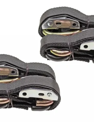 Ausverkauf Spanngurt Set 4-teilig Schwarz mit Haken & Schnellverschluss – 187 cm