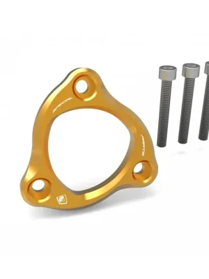 Preiswert DBK Special Parts SM01 - Ducati GOLD FEDERHALTER passend für diverse Ducati - Modelle