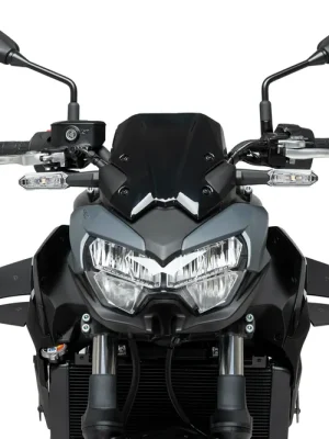 PUIG D12 Spoiler mit ABE matt-schwarz passend für Kawasaki Z650 - Modelle (2020-2026) Günstig