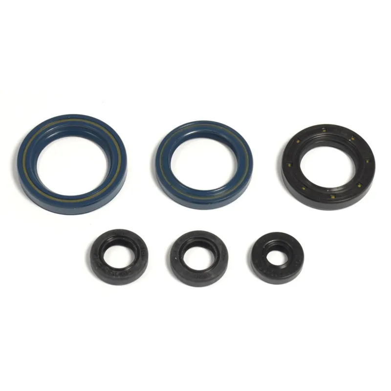 Direktkauf Kit de anéis de vedação do motor - P400270400014