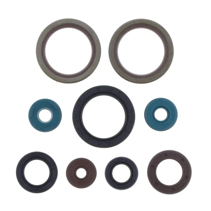 Engine seal kit - P400270400037 Abverkauf