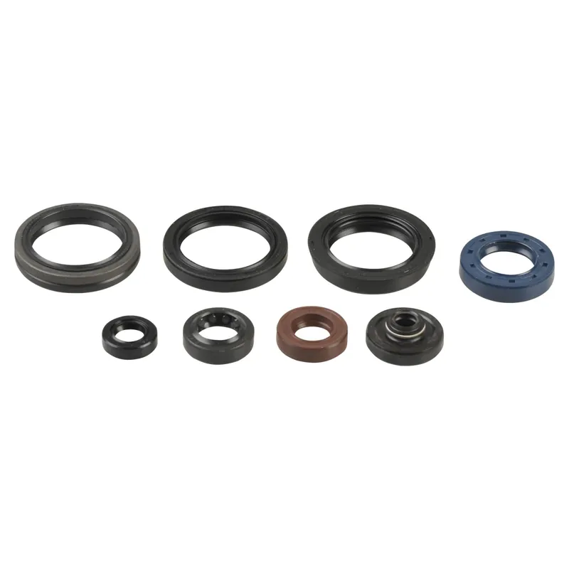 Engine seal kit - P400510400050 Sale