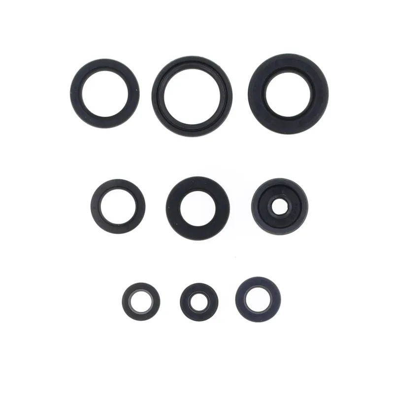 Kit de anéis de vedação do motor - P400485400048 Neu Im Sortiment