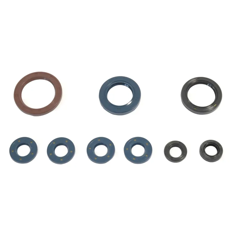 Heißes Angebot Kit de junta de estanqueidad del motor - P400270400063