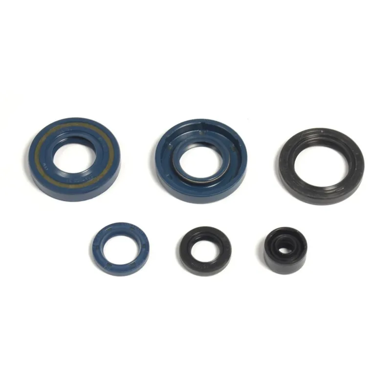 Kit de junta de estanqueidad del motor - P400250400061 Schnäppchen