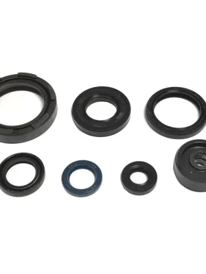 Sonderaktion Kit de junta de motor - P400485400254