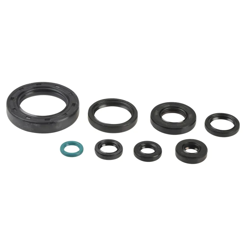 Kracherpreis Kit de anéis de vedação do motor - P400210400252