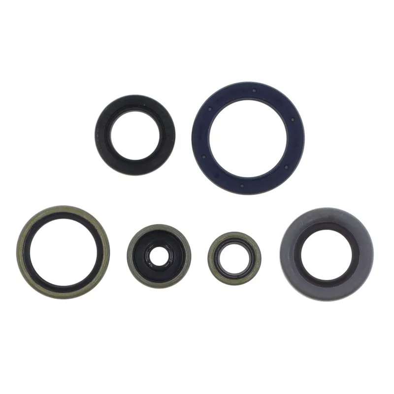 Kit de anéis de vedação do motor - P400270400088 Begrenztes Angebot