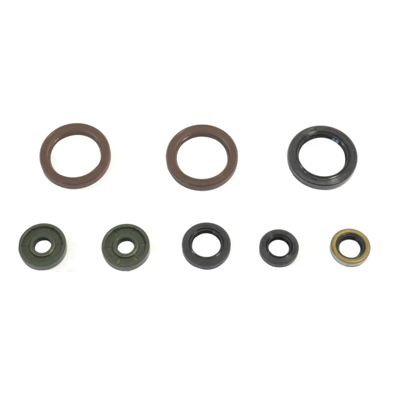 Kit guarnizioni motore - P400270400062 Mega-Angebot