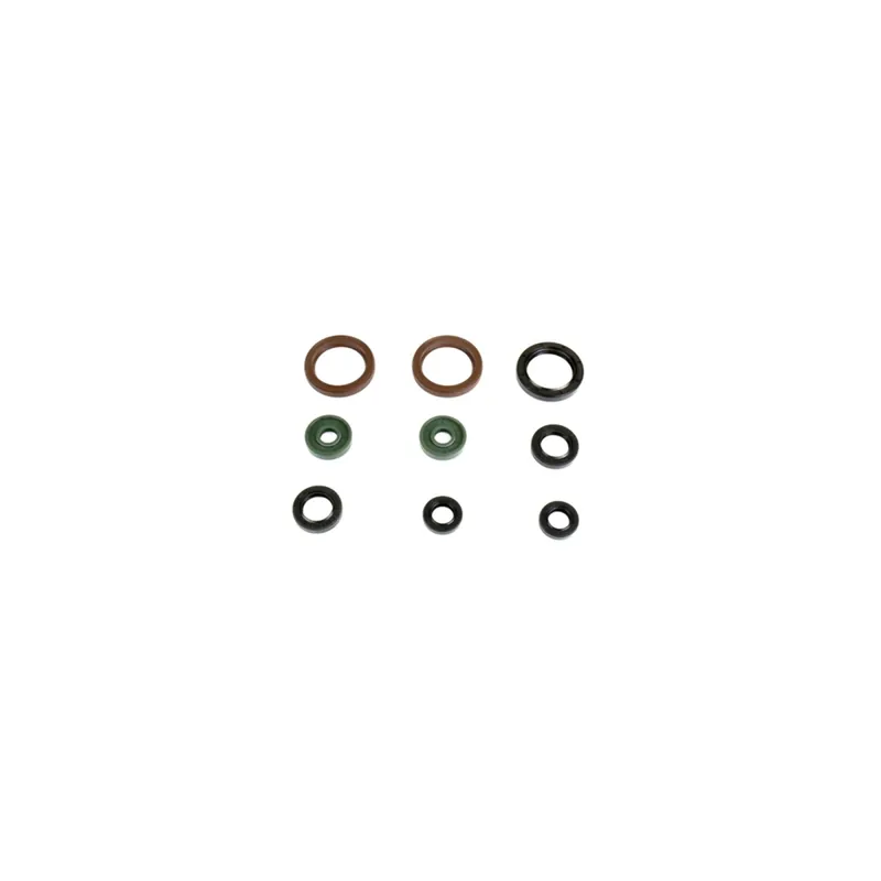 Saisonangebot Kit de anéis de vedação do motor - P400270400071