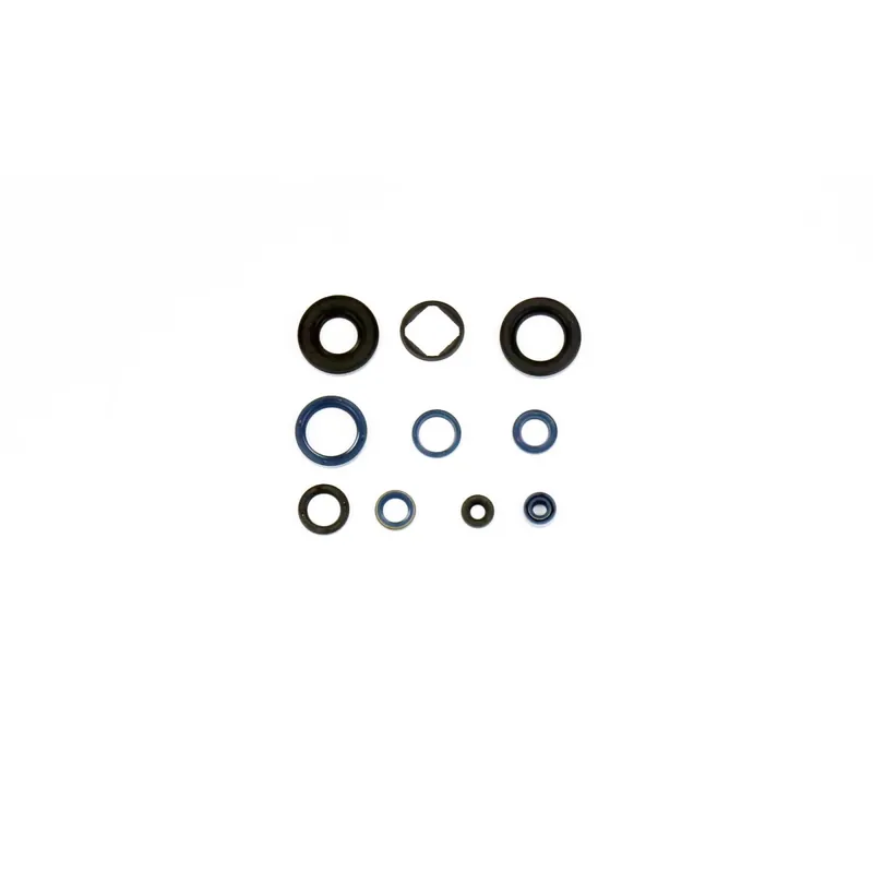 Letzte Chance Kit guarnizioni motore - P400220400125