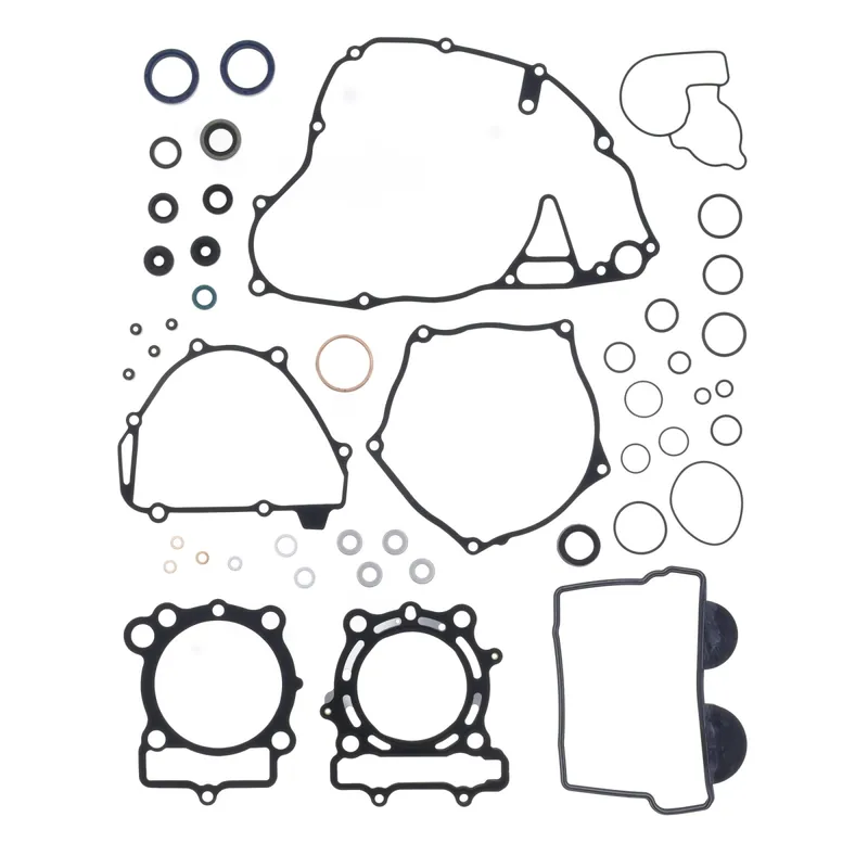 Preiswert Kit guarnizioni motore completo - P400250900069