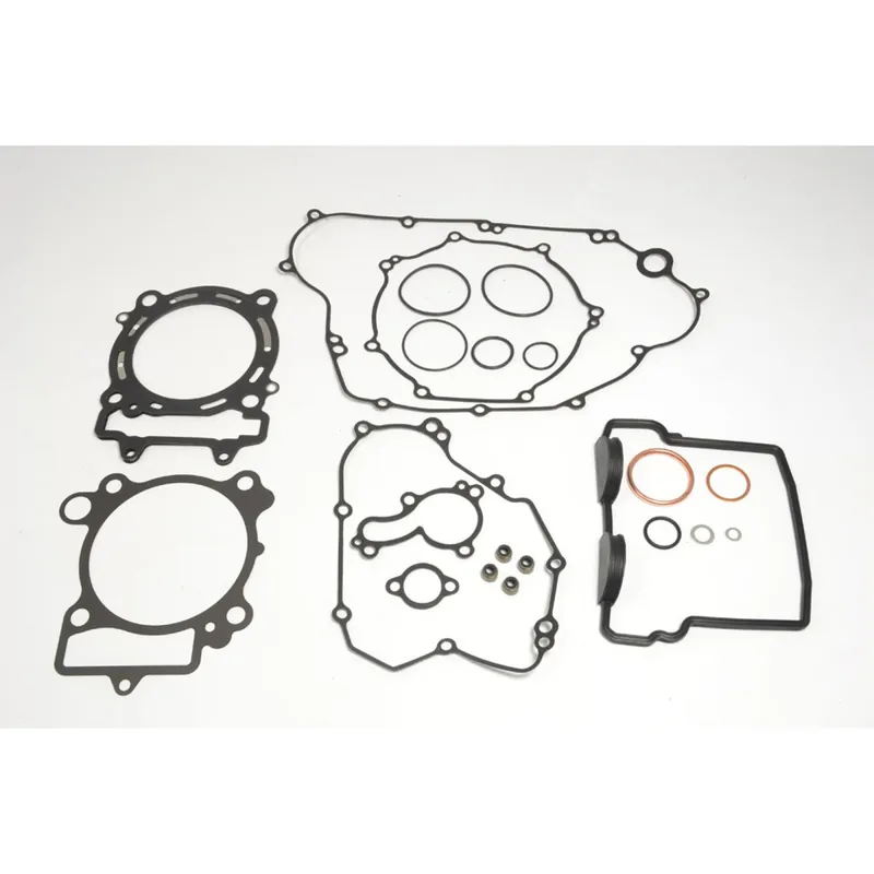 Bestseller Complete engine seal kit - P400250850048