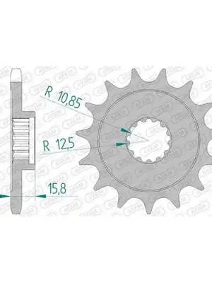 Expressversand Ritzel