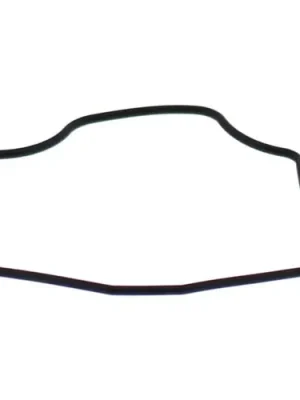 Highlight Schwimmerkammerdichtung 46-5061