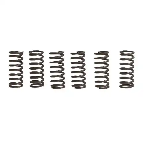 Expressversand Kupplungsfedern verstärkt EBC CSK029