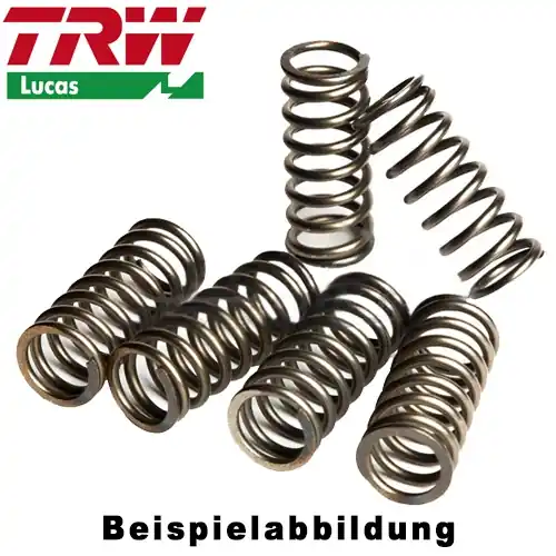 Beliebt Kupplungsfedern Set TRW / Lucas MEF376-6
